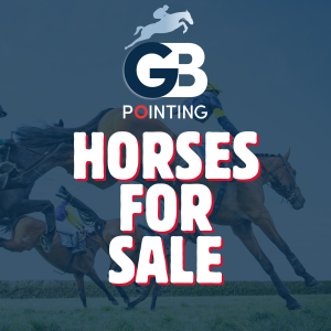 Advertise Your Horse – 1 Month