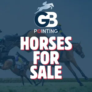 Advertise Your Horse – 1 Month