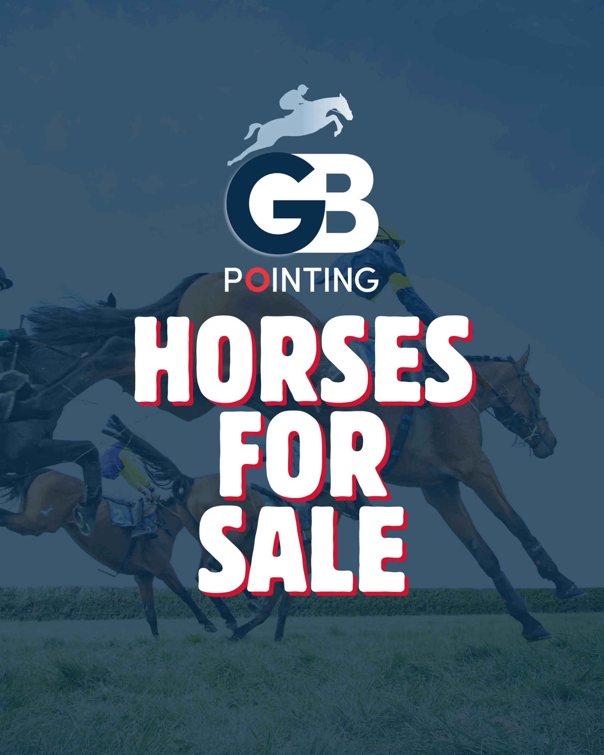 Advertise Your Horse – 1 Month